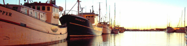 Båtar i hamn